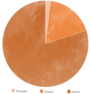 speech and occupational therapy working together